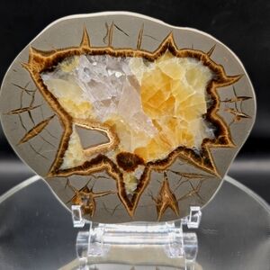 Septarian slab Utah #8